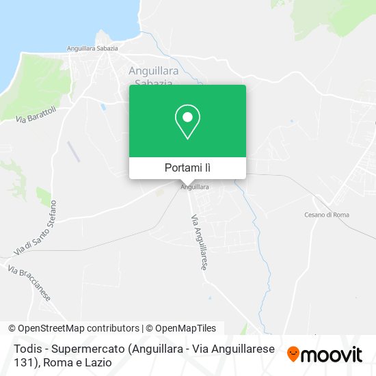 Mappa Todis - Supermercato (Anguillara - Via Anguillarese 131)