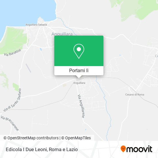Mappa Edicola I Due Leoni