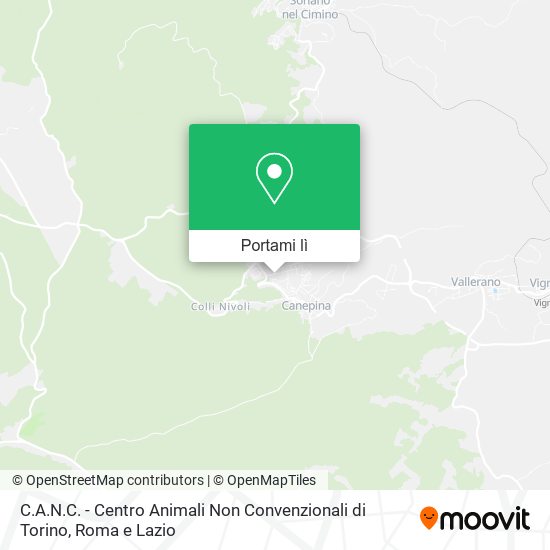 Mappa C.A.N.C. - Centro Animali Non Convenzionali di Torino