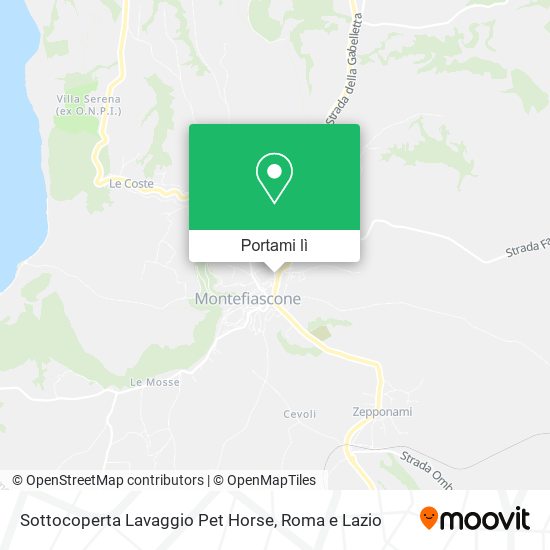 Mappa Sottocoperta Lavaggio Pet Horse