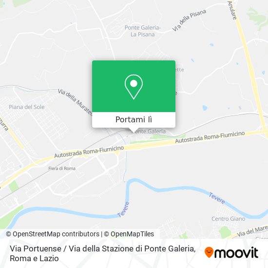 Mappa Via Portuense / Via della Stazione di Ponte Galeria