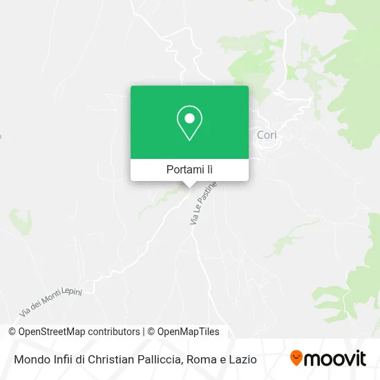 Mappa Mondo Infii di Christian Palliccia