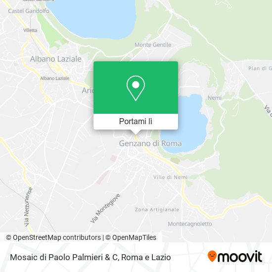 Mappa Mosaic di Paolo Palmieri & C