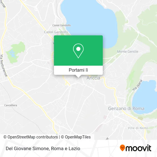 Mappa Del Giovane Simone