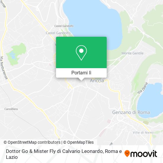 Mappa Dottor Go & Mister Fly di Calvario Leonardo