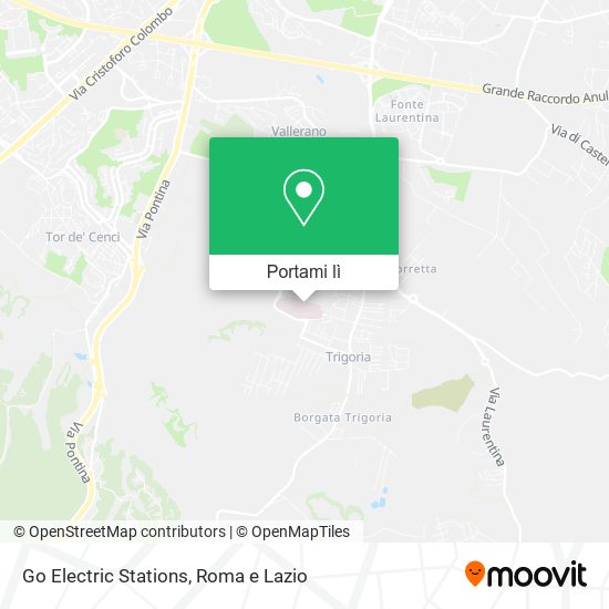 Mappa Go Electric Stations