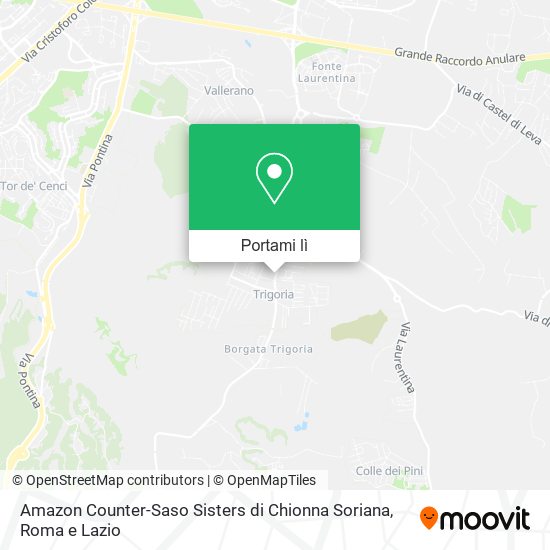 Mappa Amazon Counter-Saso Sisters di Chionna Soriana