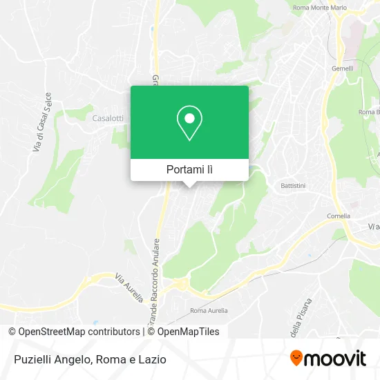 Mappa Puzielli Angelo