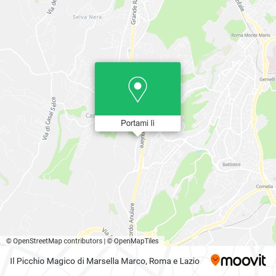 Mappa Il Picchio Magico di Marsella Marco