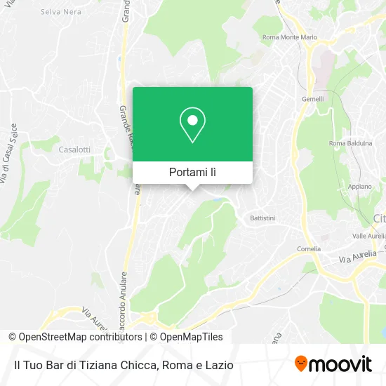 Mappa Il Tuo Bar di Tiziana Chicca