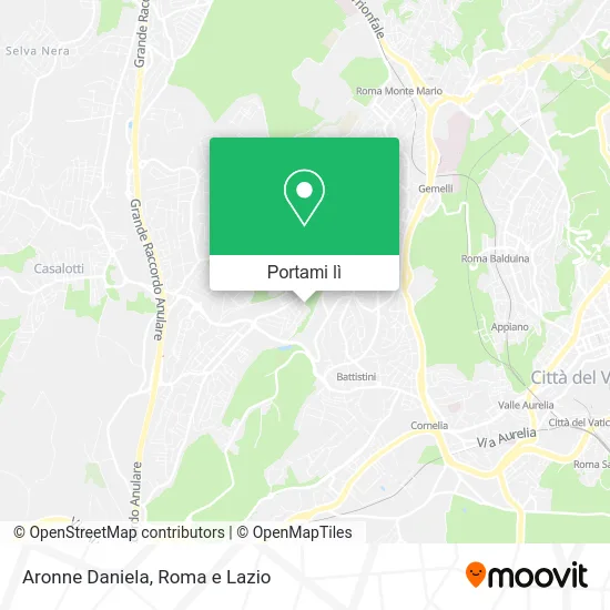 Mappa Aronne Daniela