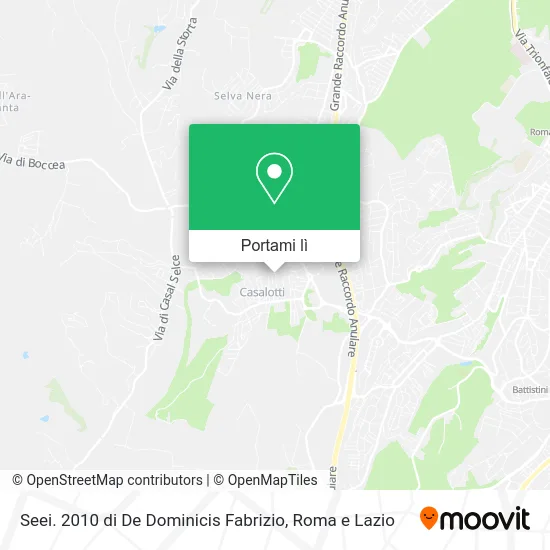 Mappa Seei. 2010 di De Dominicis Fabrizio