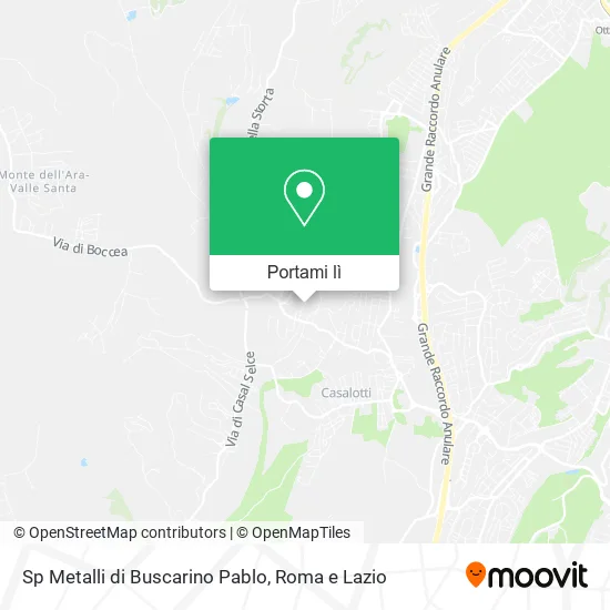 Mappa Sp Metalli di Buscarino Pablo