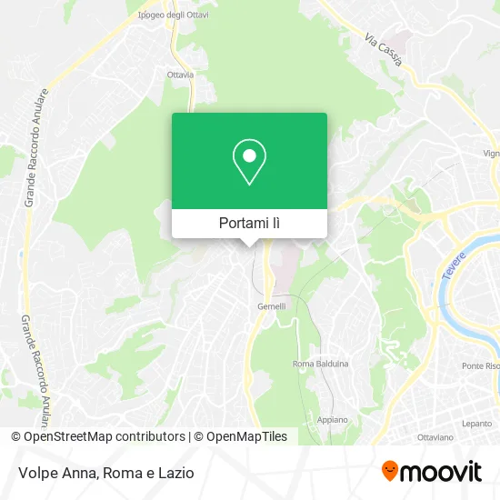 Mappa Volpe Anna