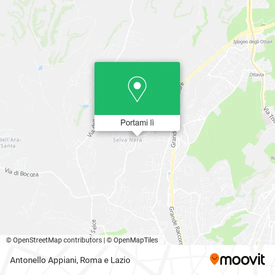 Mappa Antonello Appiani