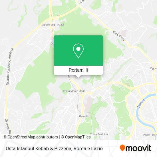 Mappa Usta Istanbul Kebab & Pizzeria