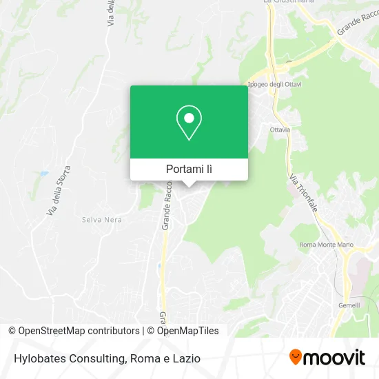 Mappa Hylobates Consulting