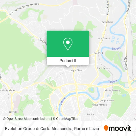 Mappa Evolution Group di Carta Alessandra