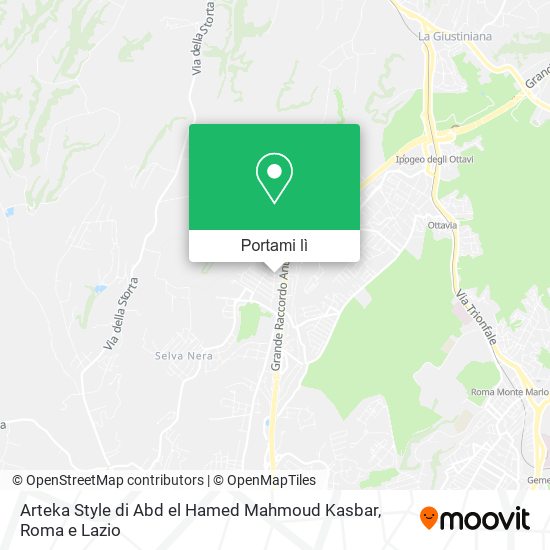 Mappa Arteka Style di Abd el Hamed Mahmoud Kasbar