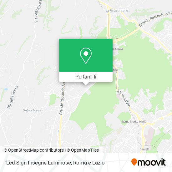 Mappa Led Sign Insegne Luminose