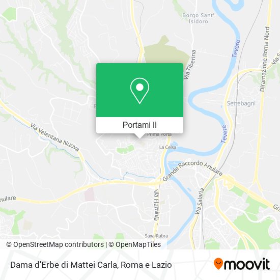 Mappa Dama d'Erbe di Mattei Carla