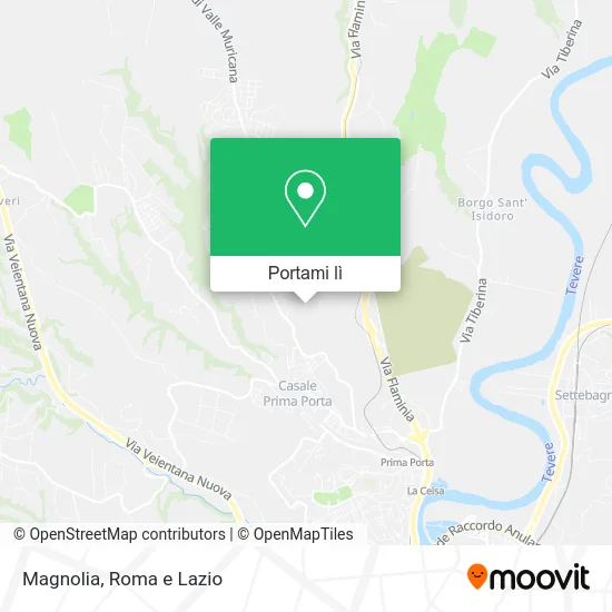 Mappa Magnolia