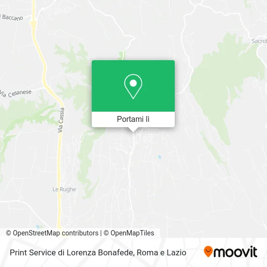 Mappa Print Service di Lorenza Bonafede