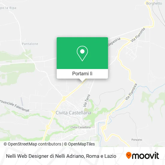 Mappa Nelli Web Designer di Nelli Adriano