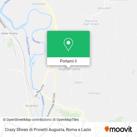 Mappa Crazy Shoes di Proietti Augusta