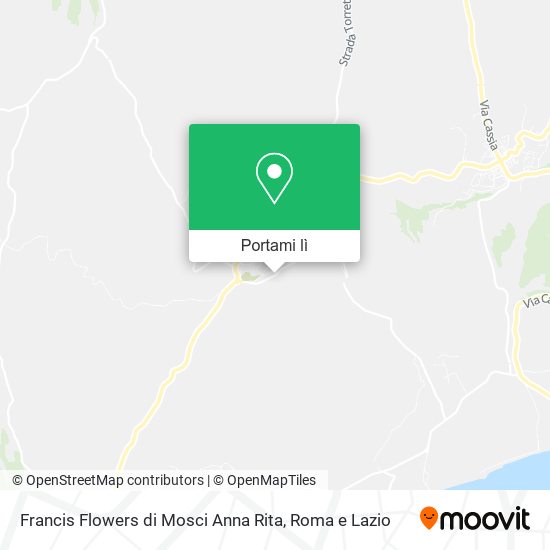 Mappa Francis Flowers di Mosci Anna Rita