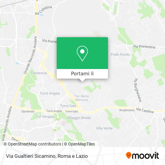 Mappa Via Gualtieri Sicamino