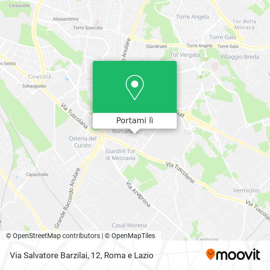 Mappa Via Salvatore Barzilai, 12