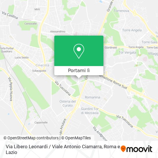 Mappa Via Libero Leonardi / Viale Antonio Ciamarra