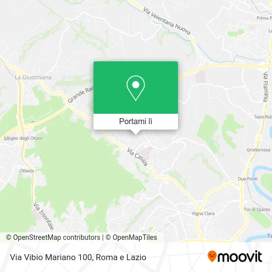 Mappa Via Vibio Mariano 100