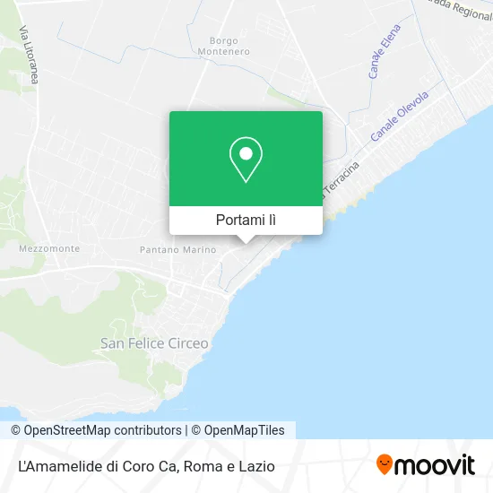 Mappa L'Amamelide di Coro Ca