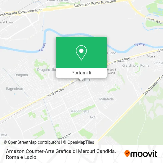 Mappa Amazon Counter-Arte Grafica di Mercuri Candida