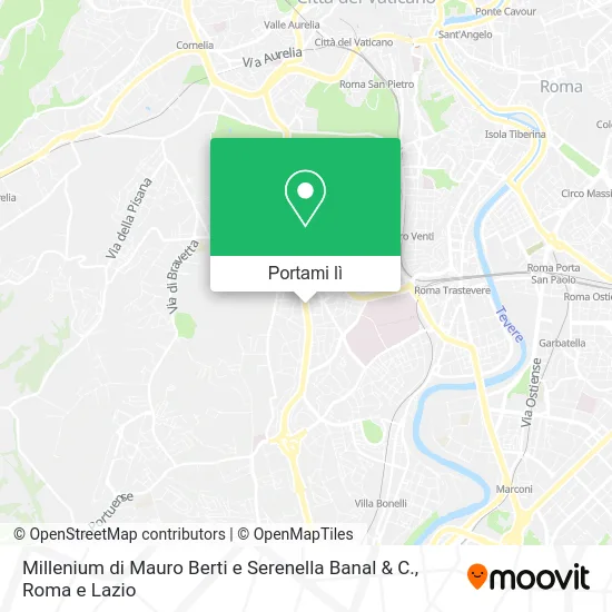 Mappa Millenium di Mauro Berti e Serenella Banal & C.