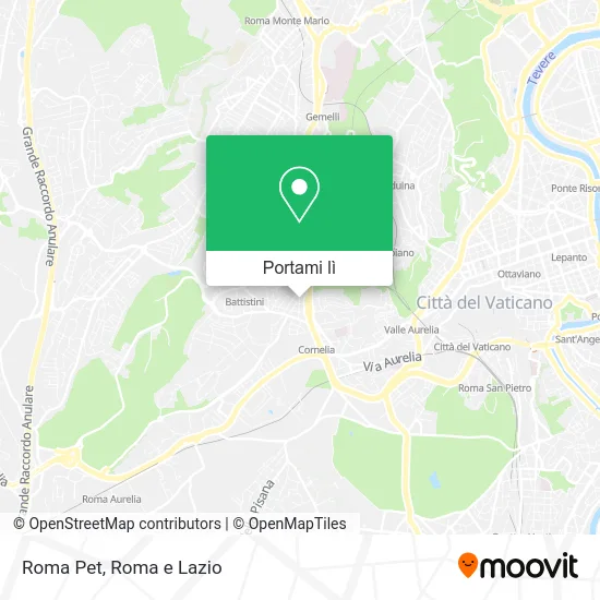 Mappa Roma Pet