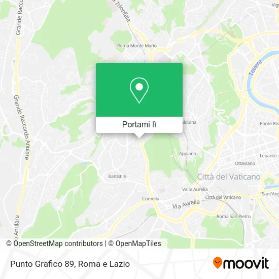 Mappa Punto Grafico 89