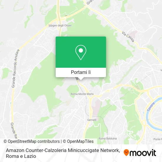 Mappa Amazon Counter-Calzoleria Minicuccigate Network