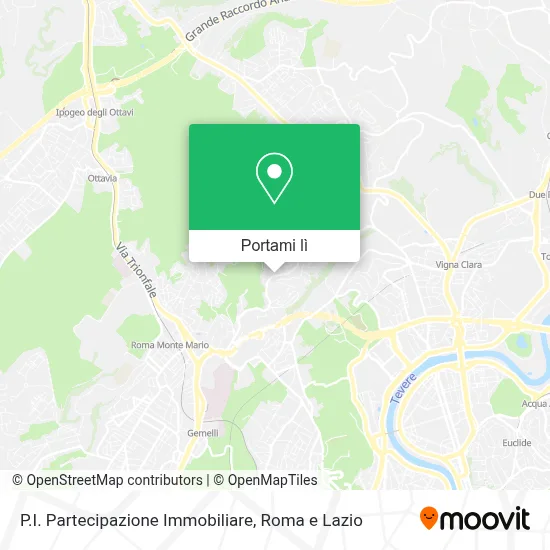Mappa P.I. Partecipazione Immobiliare