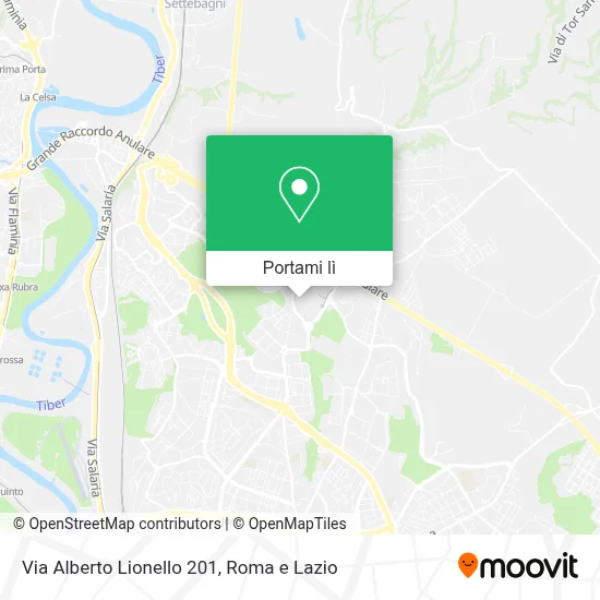 Mappa Via Alberto Lionello 201