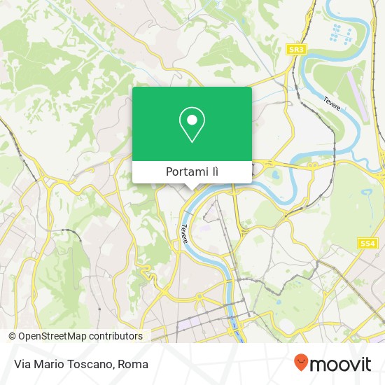 Mappa Via Mario Toscano
