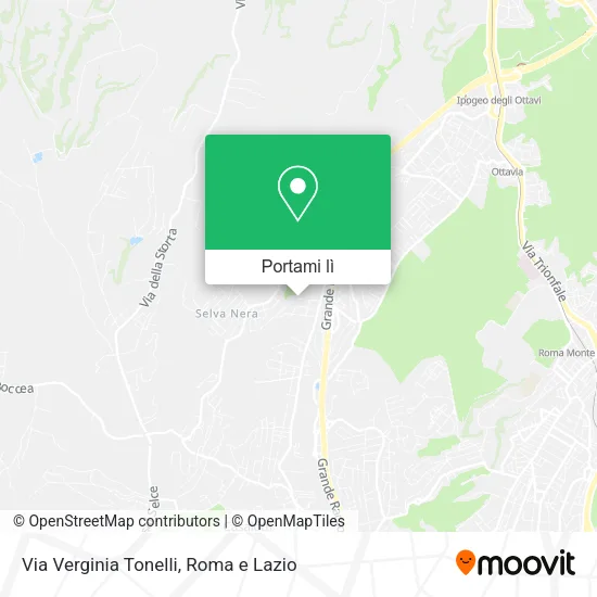 Mappa Via Verginia Tonelli