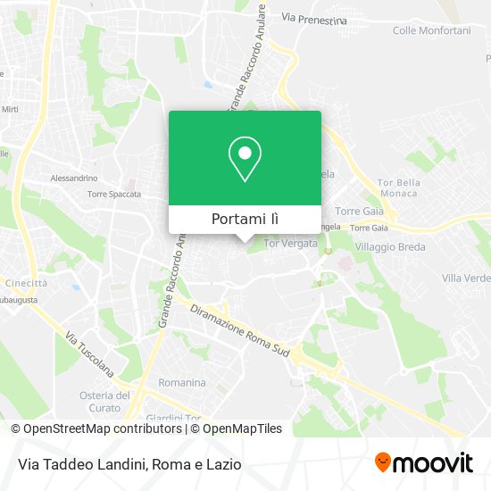 Mappa Via Taddeo Landini