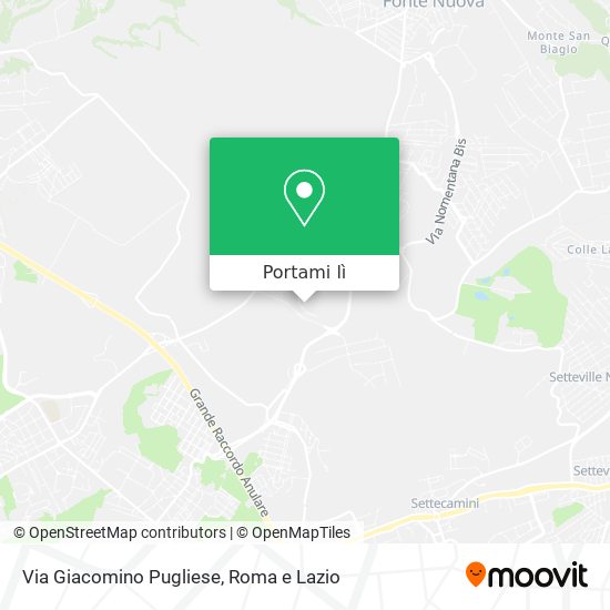 Mappa Via Giacomino Pugliese