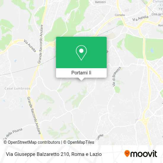 Mappa Via Giuseppe Balzaretto  210