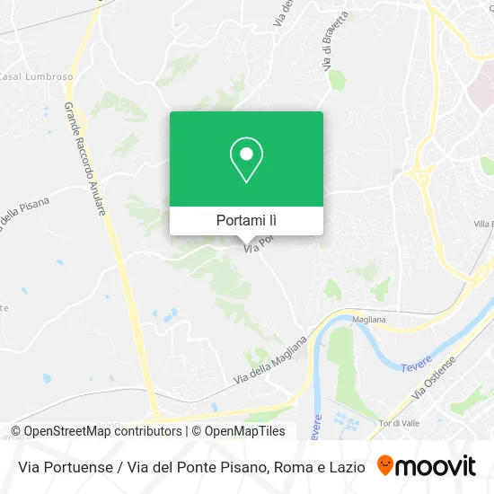 Mappa Via Portuense / Via del Ponte Pisano