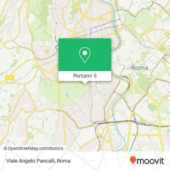 Mappa Viale Angelo Pancalli