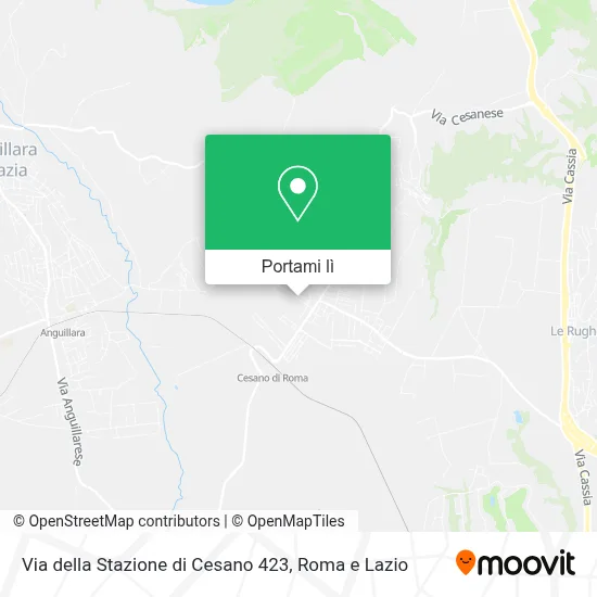 Mappa Via della Stazione di Cesano 423